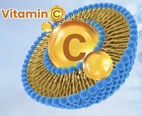 Vitamine C liposomique avec une biodisponibilité accrue pour les boissons solides en poudre et en goutte à goutte liquide